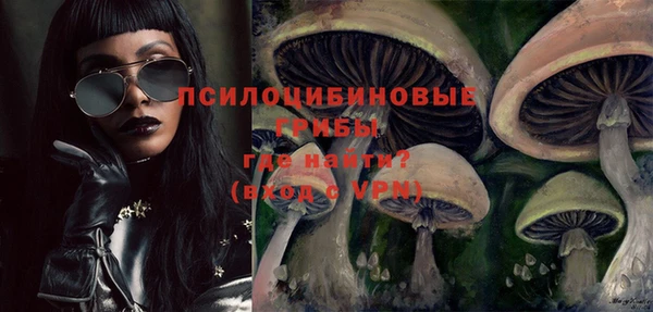 меф Алексин