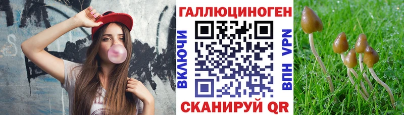 цены наркотик  Осташков  Галлюциногенные грибы Psilocybe 